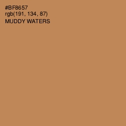 #BF8657 - Muddy Waters Color Image
